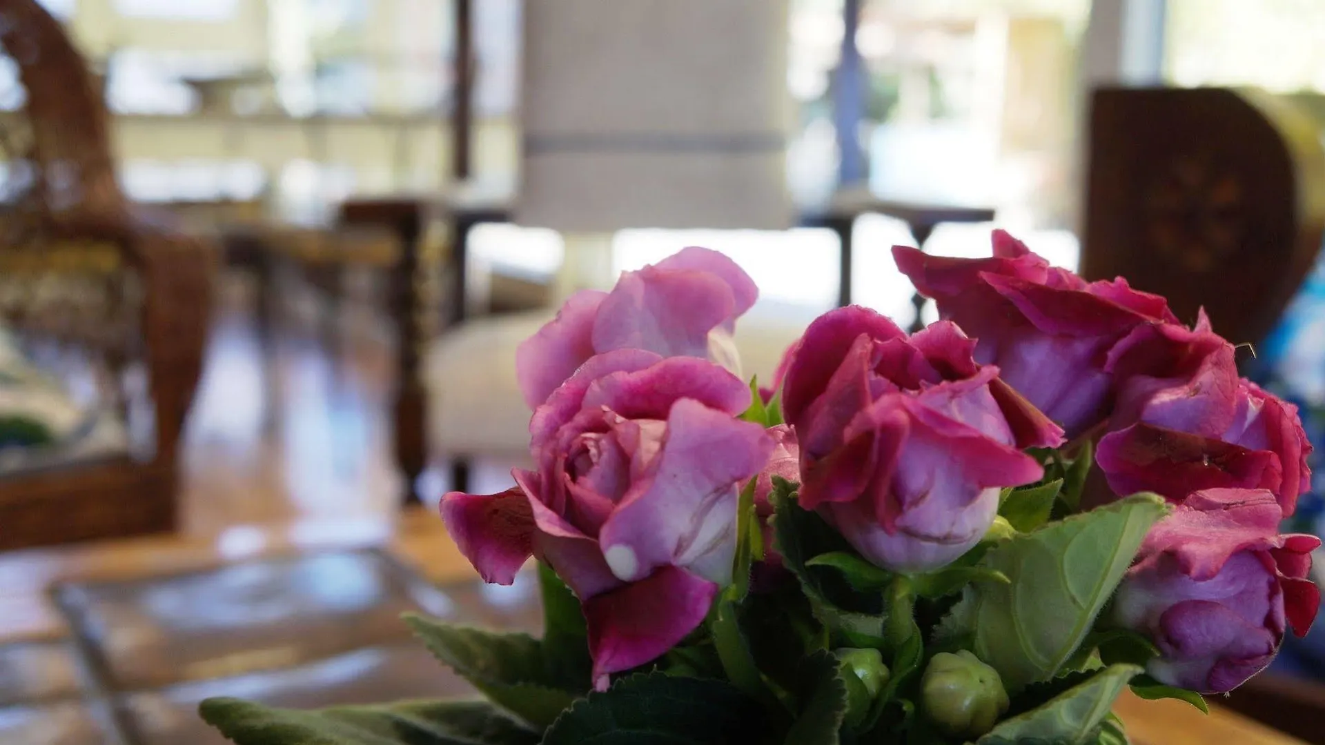 Agroturismo Ibarra Amorebieta-Etxano Country house