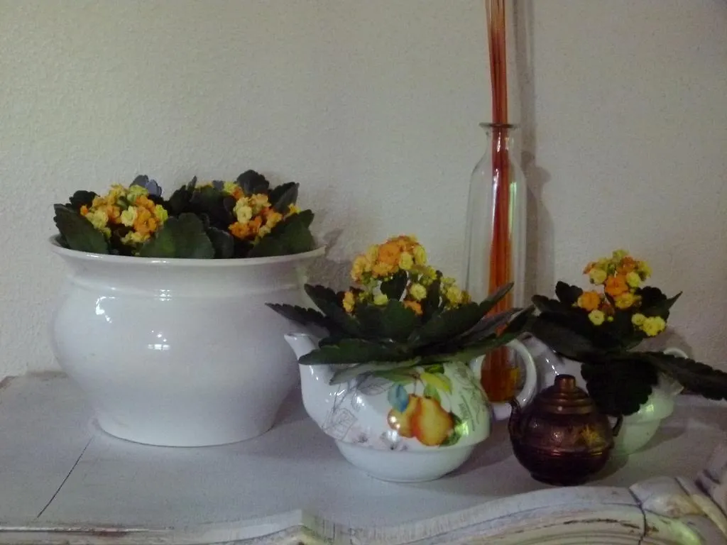 Country house Agroturismo Ibarra Amorebieta-Etxano